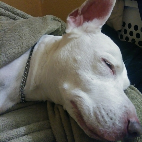 Meet your Posher, James - Picture 1 of 1